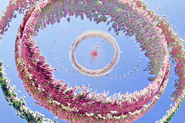 Media Art Sample